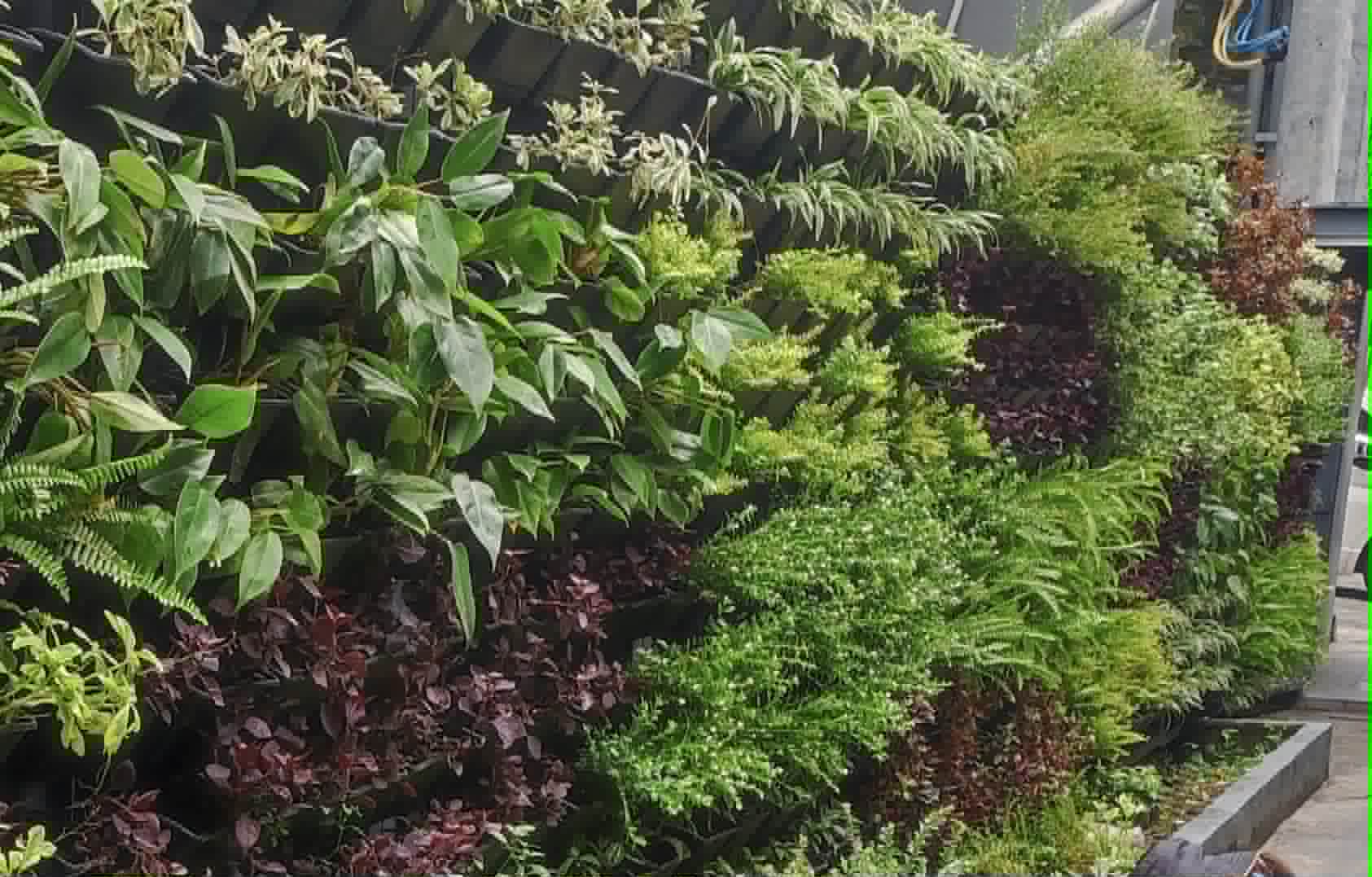 Vertical Gardens